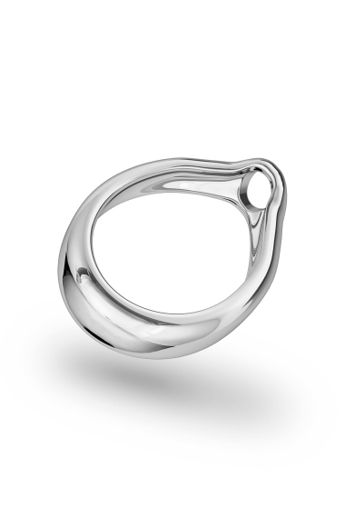 Adonis Prince Albert 6 Glans Ring, Silver