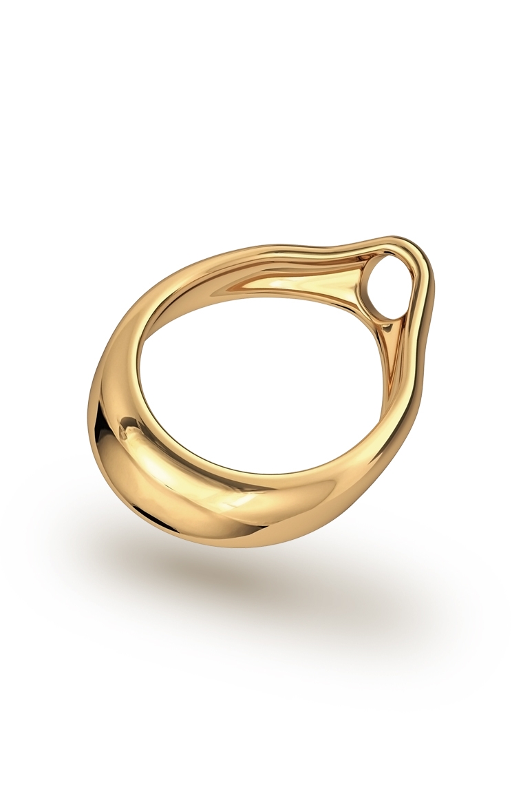 Adonis Prince Albert 7 Glans Ring, Gold - FANCY RINGS