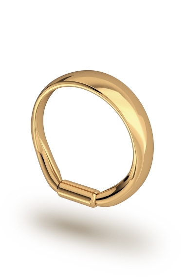 Adonis Prince Albert 3 Glans Ring, Gold - FANCY RINGS