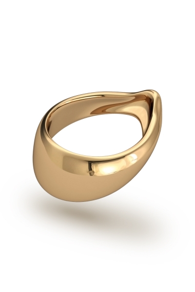 Adonis Prince Albert 3 Glans Ring, Gold - FANCY RINGS